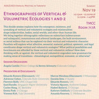 ETHNOGRAPHIES OF VERTICAL & VOLUMETRIC ECOLOGIES, AAA2023